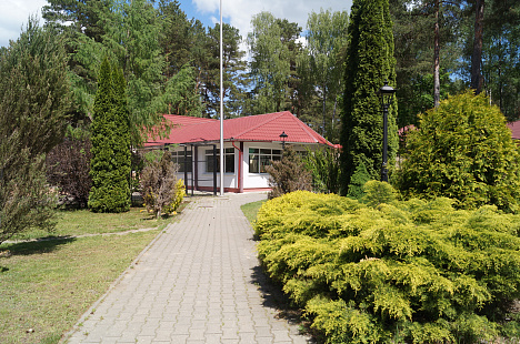 Лечебная физкультура